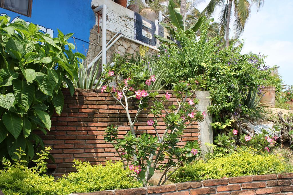 Hotel Buena Vista Puerto Escondido  Dış mekan fotoğraf